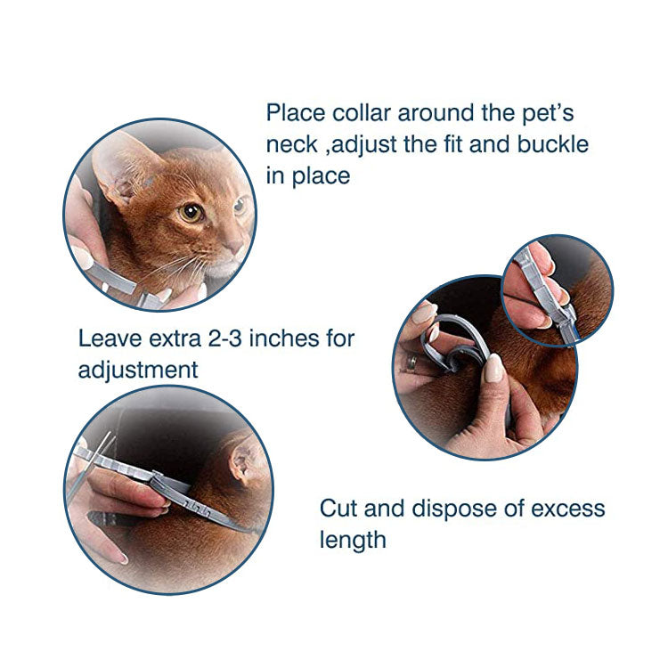 Adjustable Natural Oil Flea Tick Prevention Cats Collar