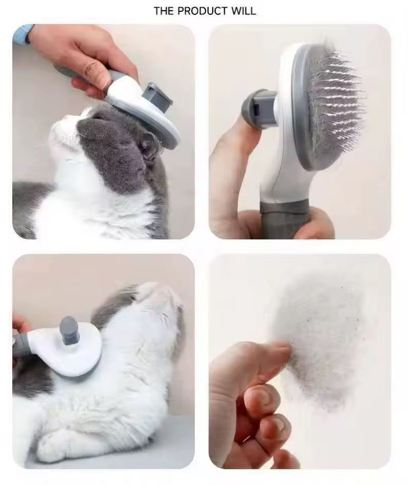 Hair Brush